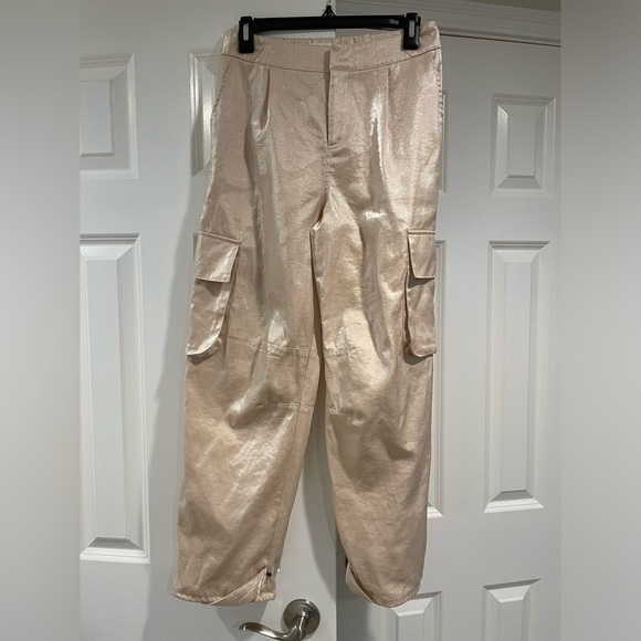 Mustard Seed Pants - Metallic Cargo Pants